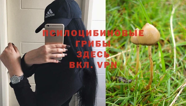 гидропоника Аркадак