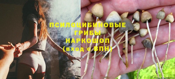 гидропоника Аркадак