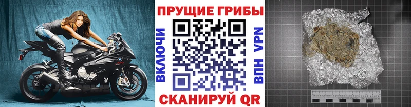 Псилоцибиновые грибы Psilocybine cubensis  Купить закладки  Сибай 