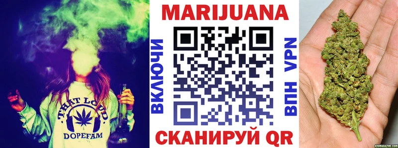 Бошки Шишки семена  Купить где  Сибай 